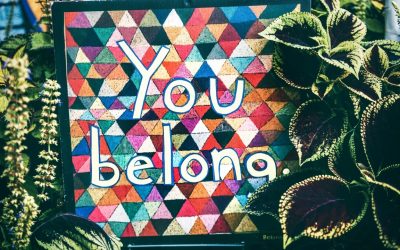 Enabling the Emergence of Belonging