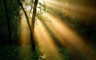 Context and Complexity as Fertile Ground for Thrivability