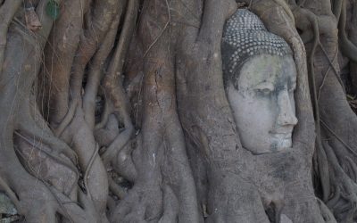 Beyond Best Practices: How to Listen for Generative Threads of Aliveness in Stories of What Works