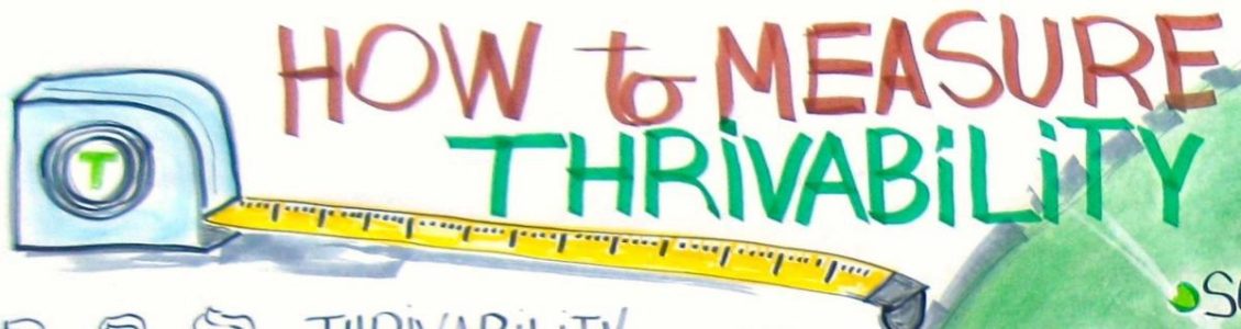 Measuring Thrivability