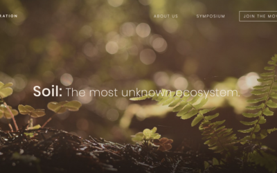 In Search of Sacred Ground: Regenerative Agriculture’s Lessons for the Whole of our Lives