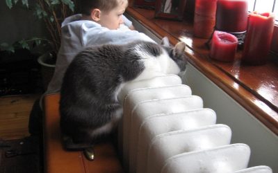 Six-year-old sage offers hope for humanity (OK, he’s my son, but still…)