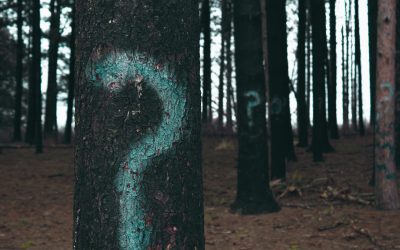 Mission Questions, Not Mission Statements