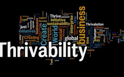 Beyond the Buzzwords: The Need for a Deeper Look at Thrivability, Regenerativity and Resilience